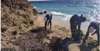 استمرار  عمل "البيئة"  للقضاء على بقع تلوث زيتي بشاطئ محمية رأس محمد