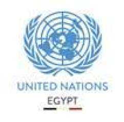 مارتن جريفيث المبعوث الأممي يجري محادثات مع الحكومة اليمينة والحوثيين 