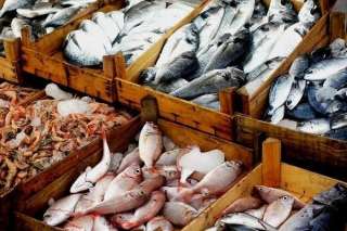 استقرار أسعار الأسماك بالأسواق اليوم الأربعاء 13-12-2023