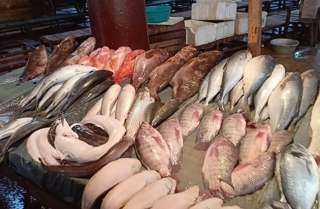 أسعار الأسماك والجمبري اليوم السبت 23-3-2024