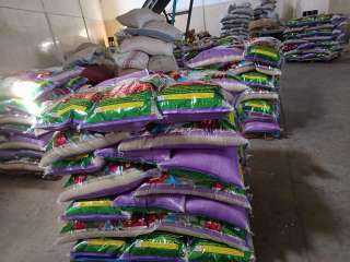 مبادرة شبابية بإحدى قري كفر الشيخ تجمع 66 طن مواد غذائية لـ ”غزة”