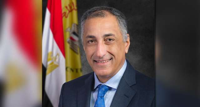 محافظ البنك المركزي طارق عامر