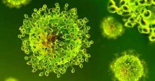 دراسة أسبانية تكشف وجود آثار لفيروس كورونا بالأوعية الدموية بالجلد