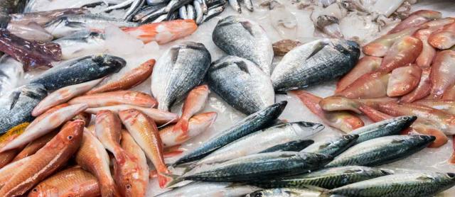 الأسماك سوق العبور 