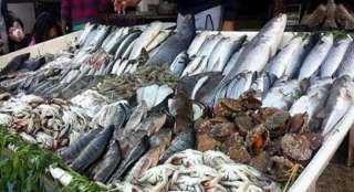 أسعار الأسماك بالأسواق اليوم السبت 23 أكتوبر 2021