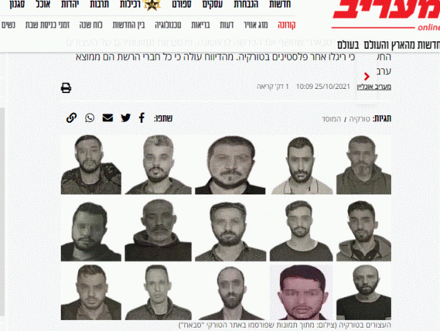 صورة أعضاء شبكة التجسس الإسرائيلية 