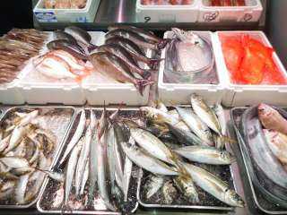 أسعار الأسماك والجمبري في الأسواق اليوم 2 نوفمبر 2021