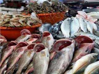 أسعار الأسماك والجمبري اليوم الخميس 4 نوفمبر 2021