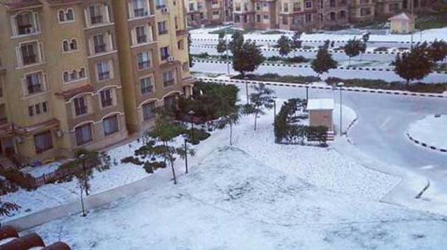  الثلوج تغطى شوارع الإسكندرية 