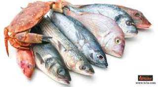 أسعار الأسماك بالأسواق اليوم السبت 22-1-2022