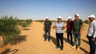 زراعة ٤٠٠ فدان من محصول الزيتون فى إطار مبادرة ”الريف المصرى الجديد” بمنطقة المغرة