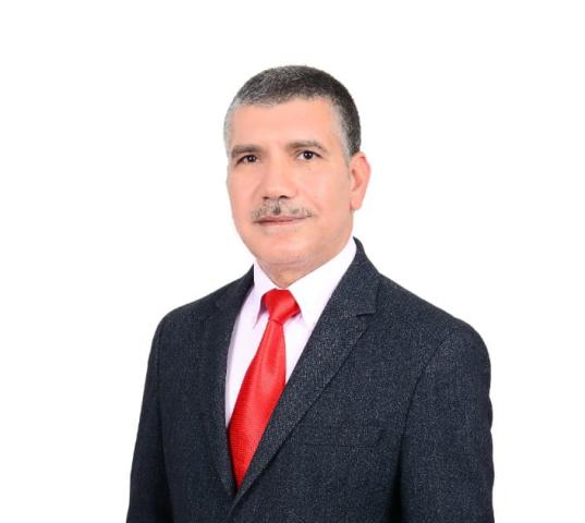 المهندس محمود المنسي