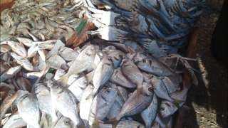 أسعار الأسماك في ثالث أيام عيد الفطر اليوم الأربعاء 4 مايو 2022