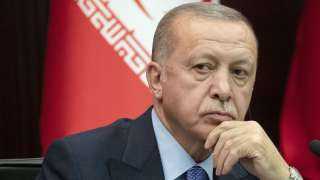 أردوغان: لولا أحداث «جيزي» لكانت تركيا بوضع آخر ودخل يقارب 1.5 تريليون دولار