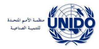 ”اليونيدو” و”هيئة الأمم المتحدة” للمرأة يدعمان المشاريع التنموية للنساء المصريات