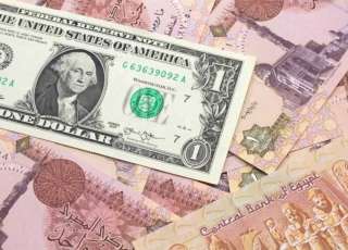 الجنيه المصري ينخفض 5 قروش أمام الدولار بالأسبوع الماضي
