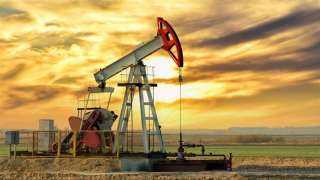 تقرير: أوبك لم تلتزم بزيادة إنتاج النفط الذى تعهدت به خلال يونيو