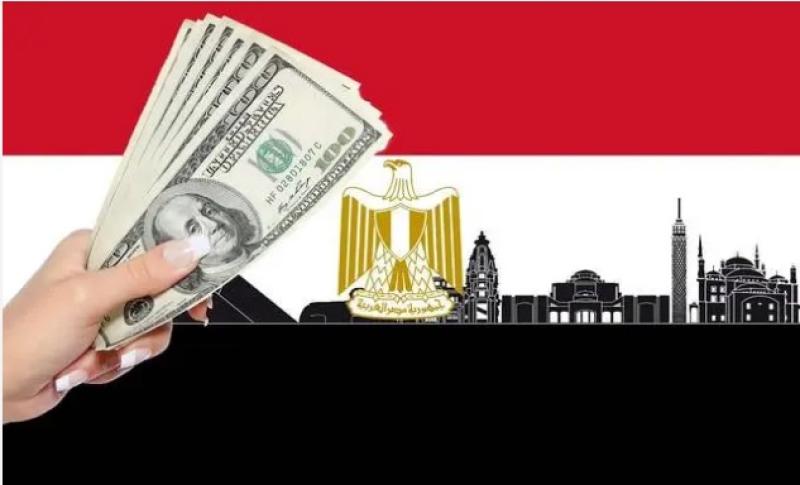 البنك المركزي صافي الاستثمار الأجنبي المباشر في مصر
