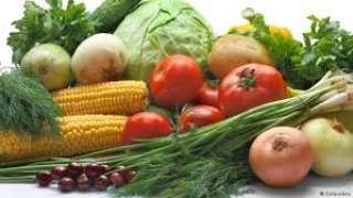 تباين أسعار الخضروات بسوق العبور اليوم الخميس 24 أغسطس 2023