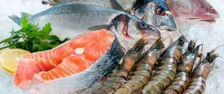أسعار الأسماك والجمبري بالأسواق اليوم الأحد 11-2-2024