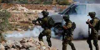 قوات الاحتلال تفتح النار على فلسطينية عند حاجز ”تياسير”