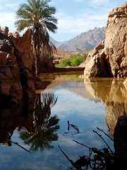 ”سويلم”  تنفيذ مشروعات كبرى في مجال الموارد المائية والرى لتنمية سيناء